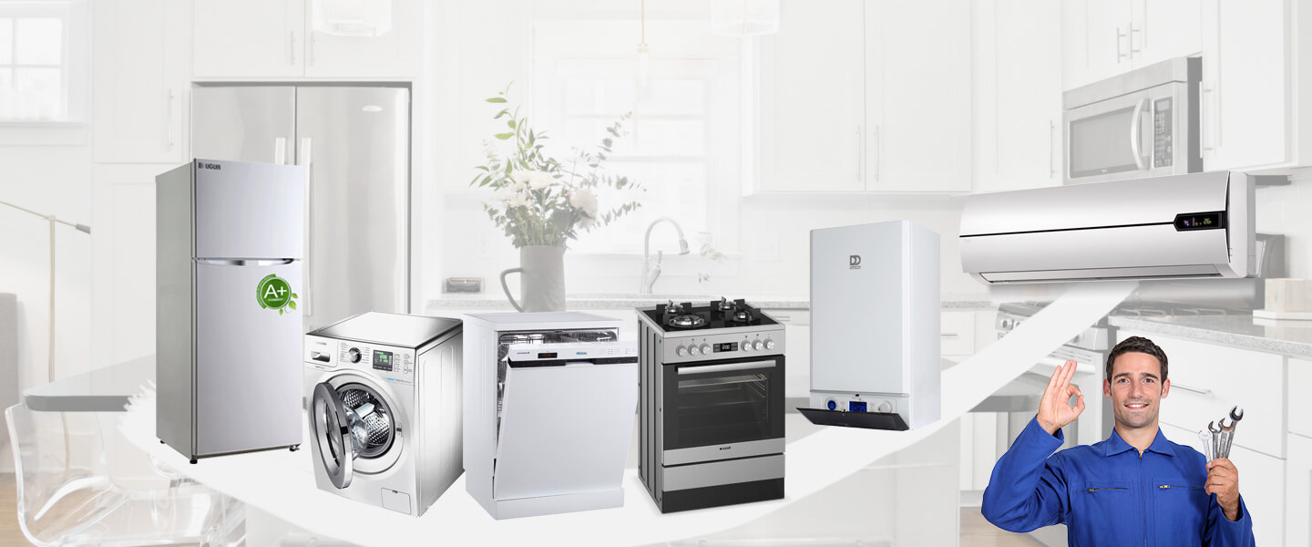 Egekent Electrolux Servisi
